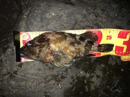 風裏ライトゲーム