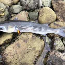 久しぶりの釣り