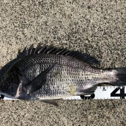 イチノ兄弟、釣果!