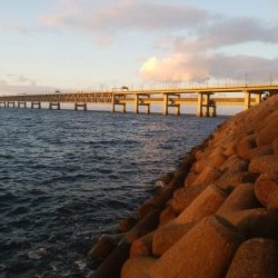 爆風激渋メバリング