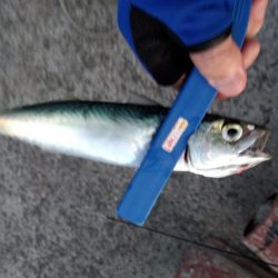 正月休みのリベンジ