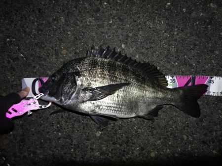 南港へち釣行 （2020/01/13 南港…