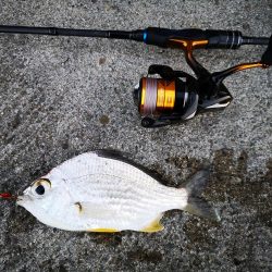 早朝から夕方まで1日仕事~