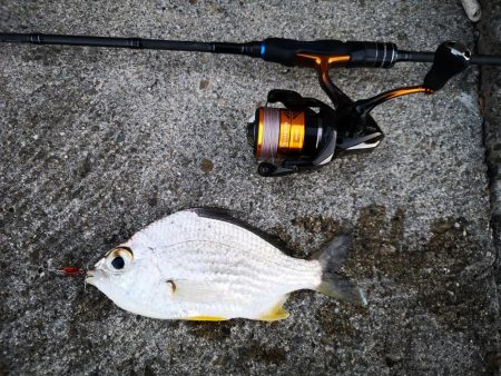 早朝から夕方まで1日仕事~