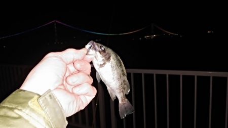 風が吹いてもメバリング