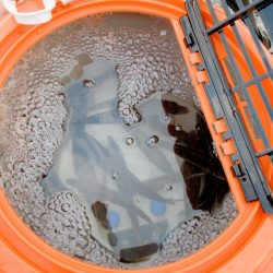 うねり・うねりの３連ちゃん。「鬼アワセでブッコ抜け」と脳はおっしゃっておりますが・・・