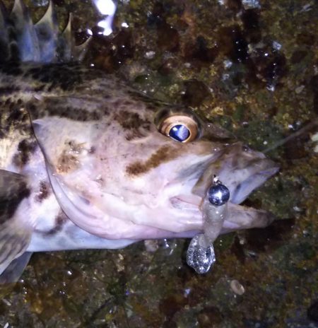 元旦ライトゲーム