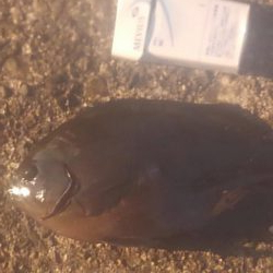 まだまだ温度が高い