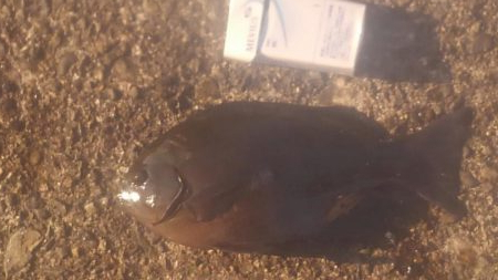 まだまだ温度が高い