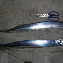 ドラゴンにワイヤー切られ；；