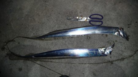 ドラゴンにワイヤー切られ；；