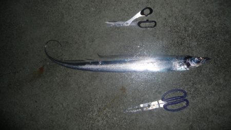 周りは釣れてても自分は釣れない;;