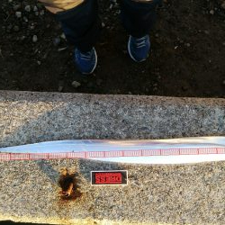 タチウオなんとか居残ってる