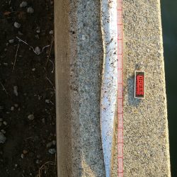 諦めるな！！まだ釣れるぞ～