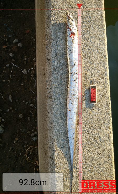 諦めるな！！まだ釣れるぞ～