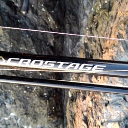 アオリイカ坊主　青物ゲット