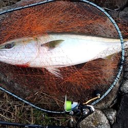 ベイトたくさん！