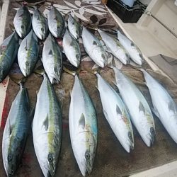 大物釣果速報！●光義丸：平戸市早福港