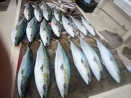 大物釣果速報！●光義丸：平戸市早福港