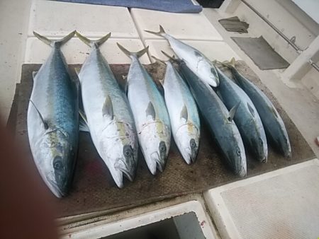 大物釣果速報！●光義丸：平戸市早福港