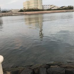 なかなかなかなかなかなかの、パワー