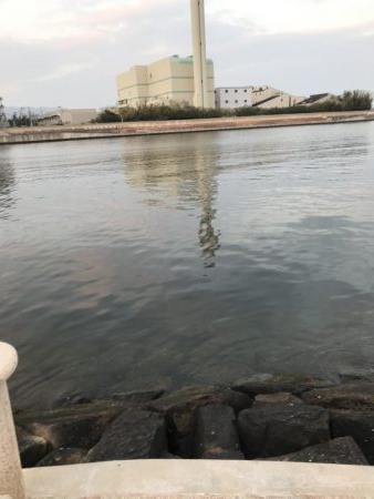 なかなかなかなかなかなかの、パワー