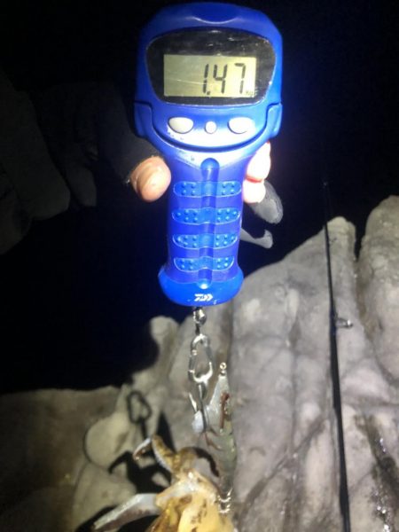 冬でも釣れたよ！