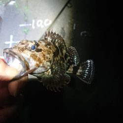 仕事帰りの釣行