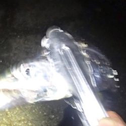 タチウオ＆サビキ