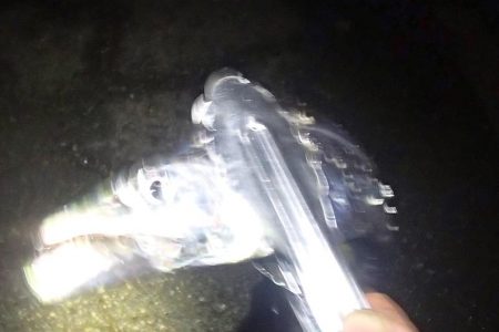 タチウオ＆サビキ