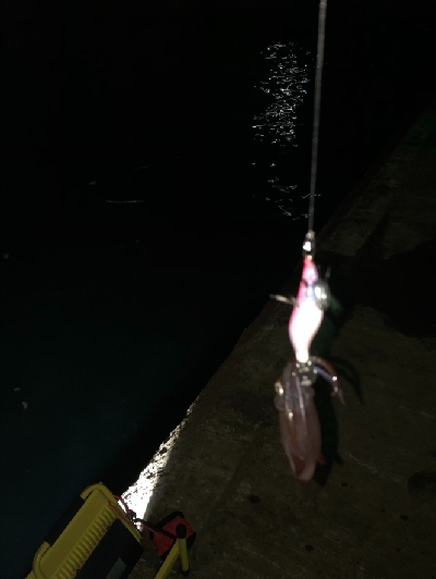 今日も行っちゃいました