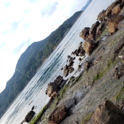 あけましておめでとうございます