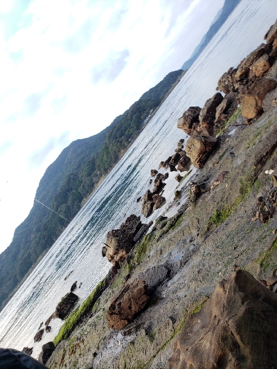 あけましておめでとうございます