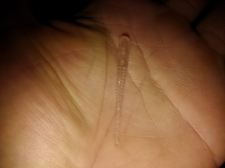 年始に懲りずにアジング