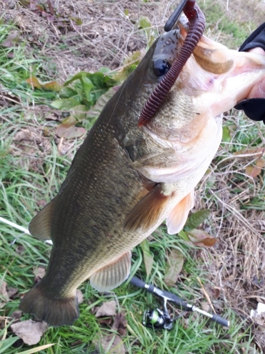 真冬の紀の川本流バス！！