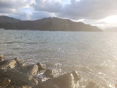 今年初の青物‼️