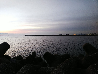 ヒラメ狙いなのに青物が好調