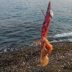 初釣り墨付け❗