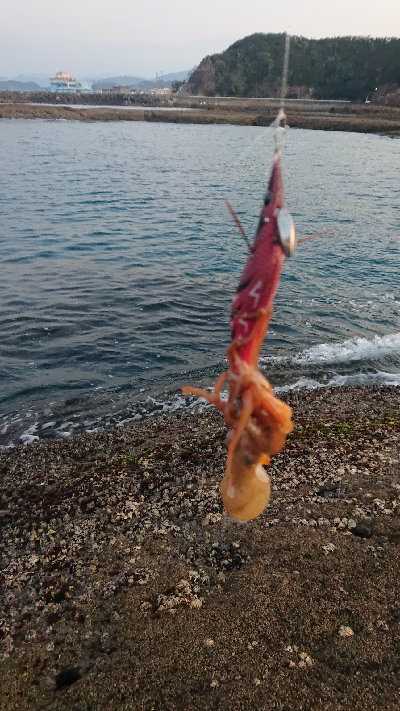 初釣り墨付け❗