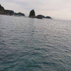 ここまで来て秋イカサイズ・・・