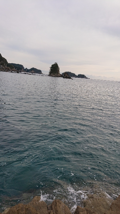 ここまで来て秋イカサイズ・・・