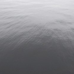 今年チヌ2匹目の50オーバー