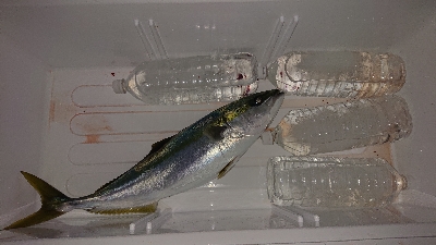 なんとかメジロ