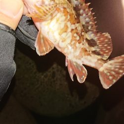 活性高く楽しめた♪