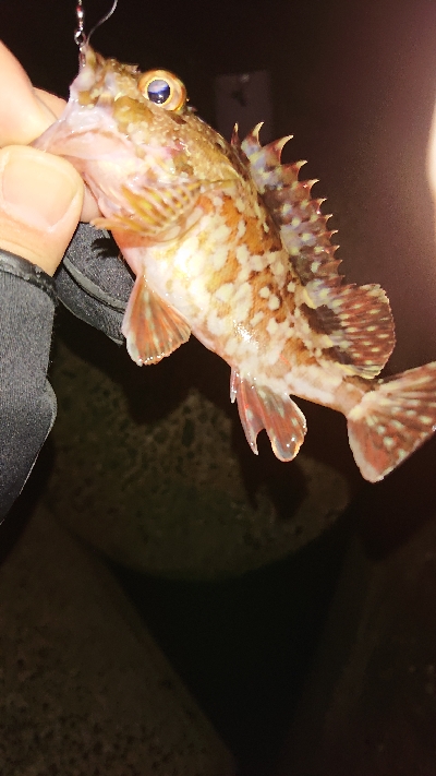 活性高く楽しめた♪