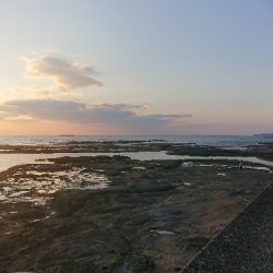 初イカ釣れましておめでとうございます！