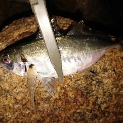 フロートアジング