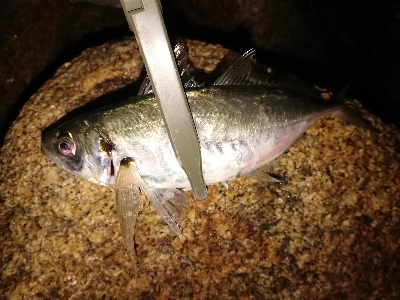 フロートアジング