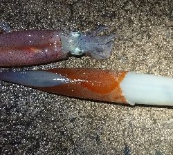 天気が雨予報前に