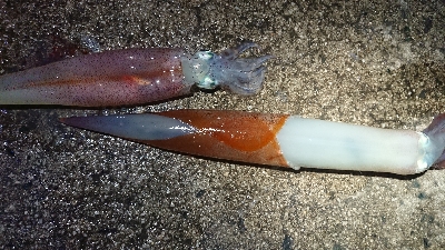 天気が雨予報前に